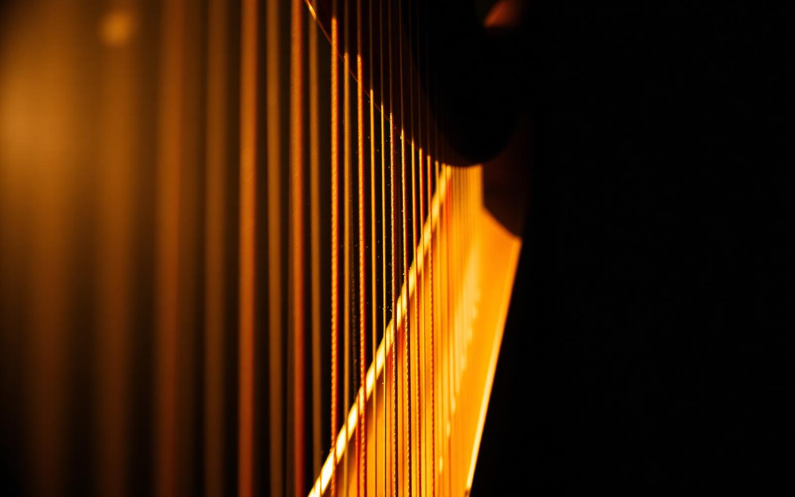 Harp strings lit in warm golden side light against a dark room
